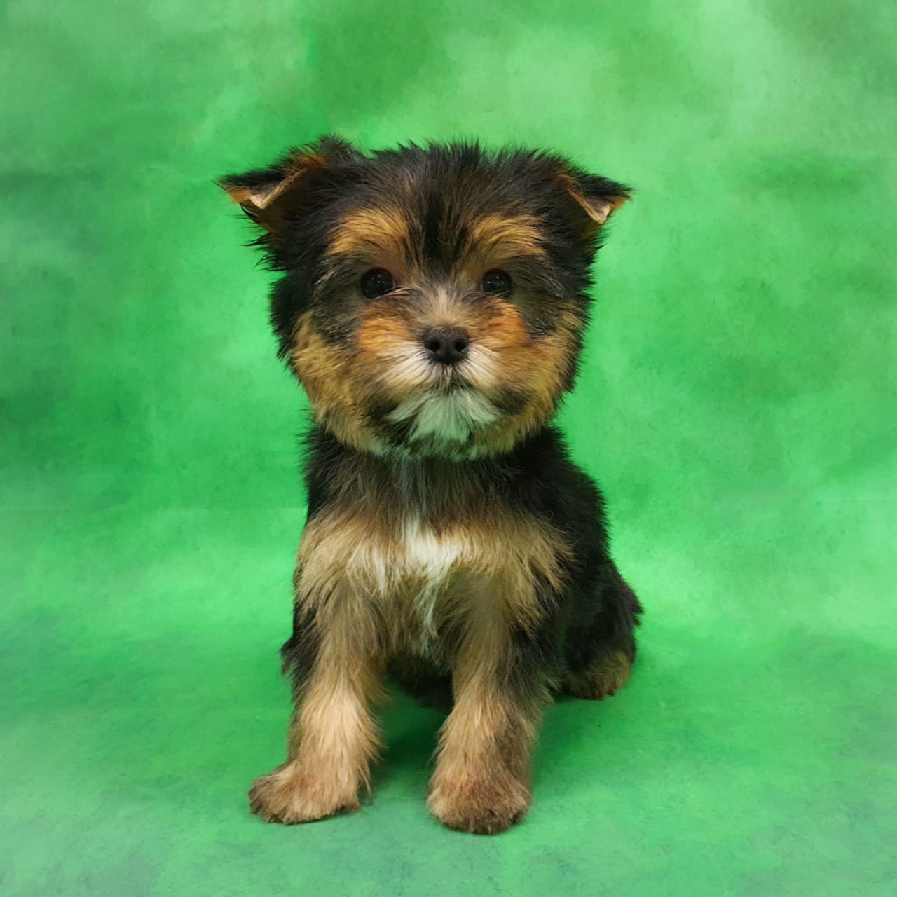 WhatsApp-Image-2021-01-28-at-16.16.40-1