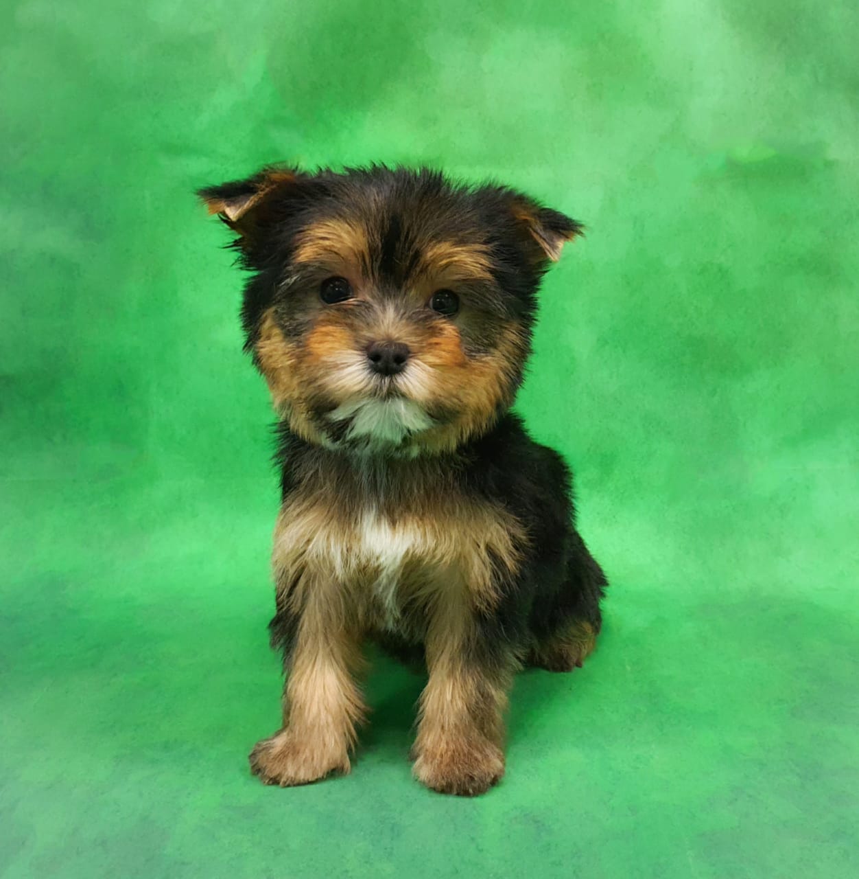 WhatsApp-Image-2021-01-28-at-16.16.40-2