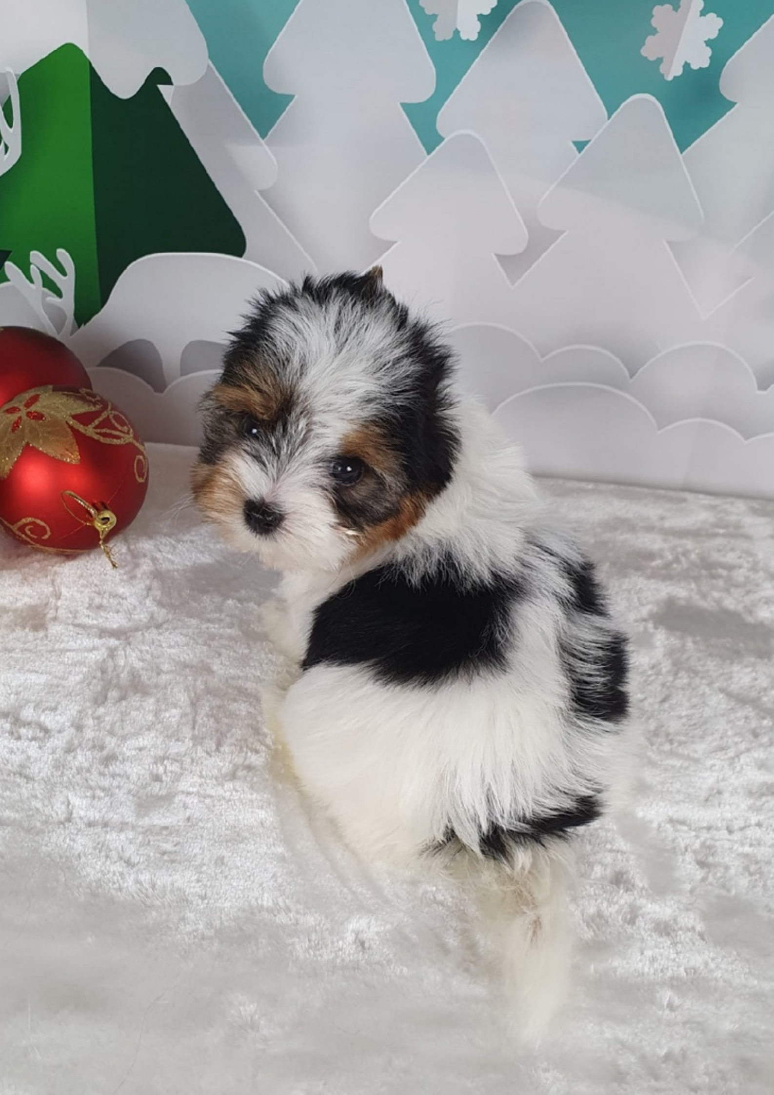 -без-названия-10