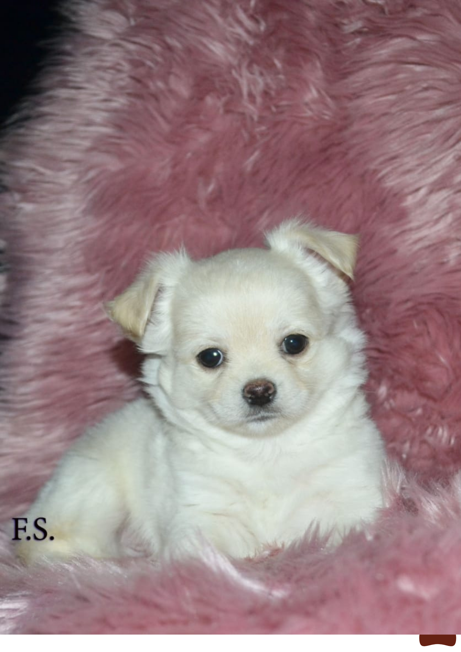 -без-названия-14