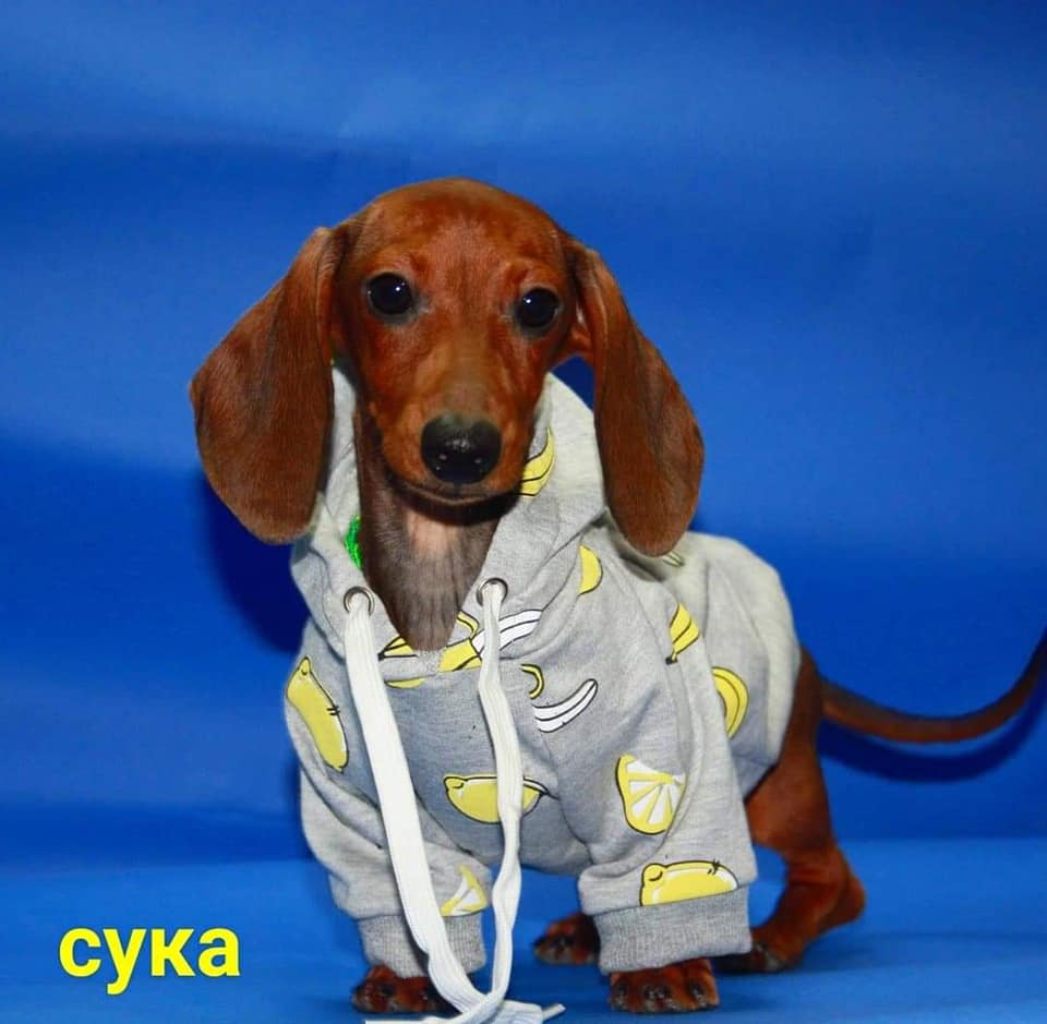 140722867_5536541143038117_2072163679853543904_n