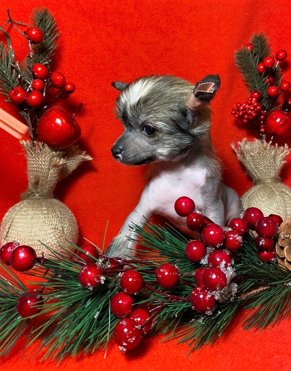 2fa4995f-4f9f-4871-a932-94475623ec24