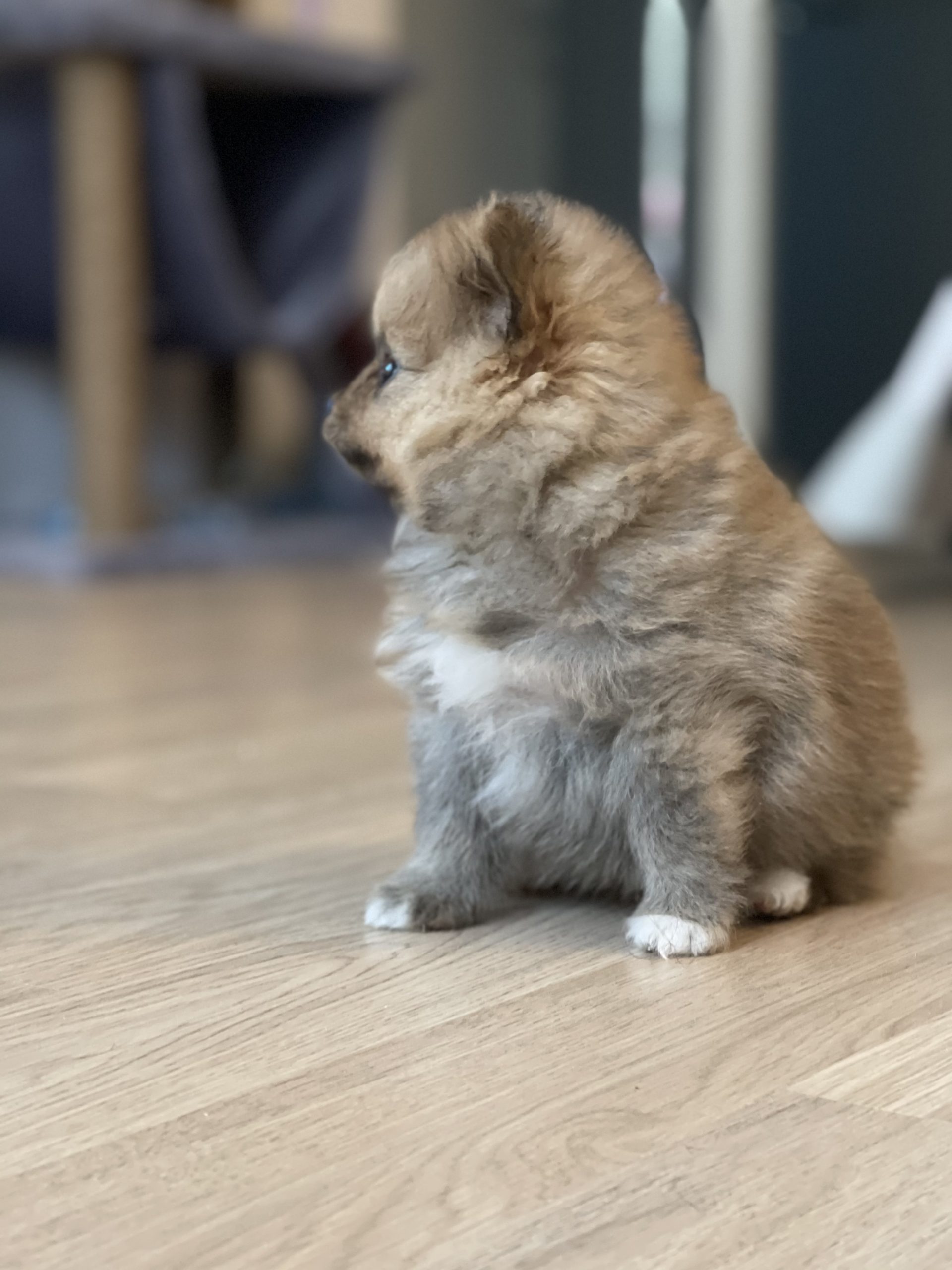 3A89EB1B-8FEF-47B6-B786-482E480CC535