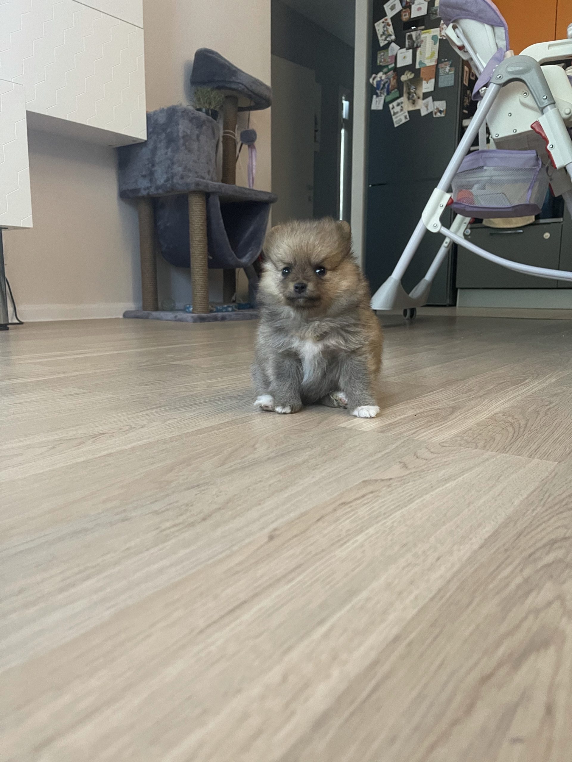 6065C29B-3B25-4399-90BA-EB32E34E1A6C