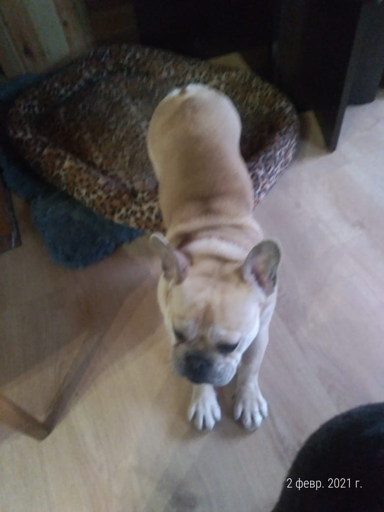 7e4b329c-ac0c-4ecf-bb67-380f6874e571