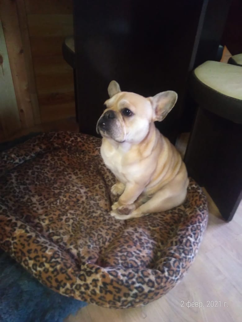 8c3de675-9bf2-4998-9466-5b3253e28bbf