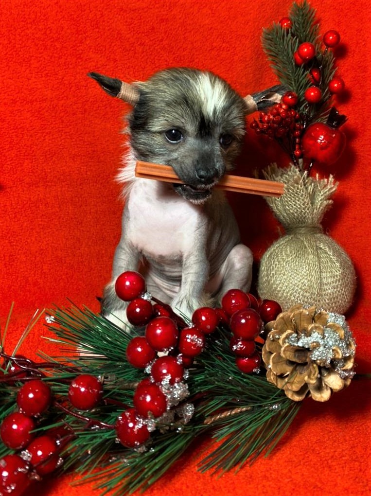 946ec5fd-5dee-4cf5-b7d9-1ee7c949a162