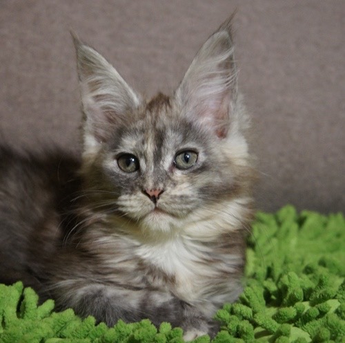 A990E579-B16F-4BB9-9940-7E9CE3517366