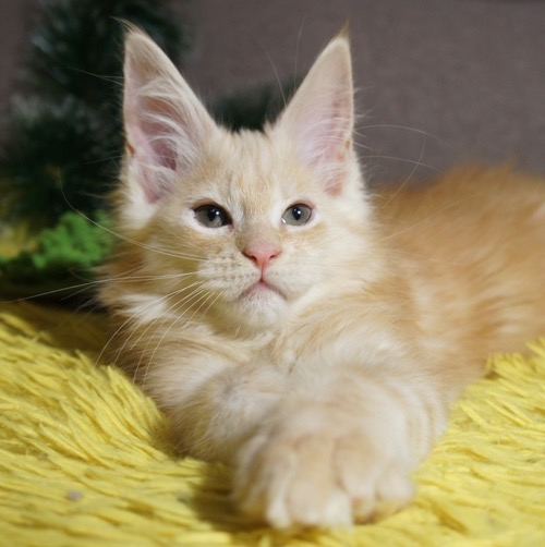 B2D3965C-C3F8-47CA-83D8-E77CC24D8DCF