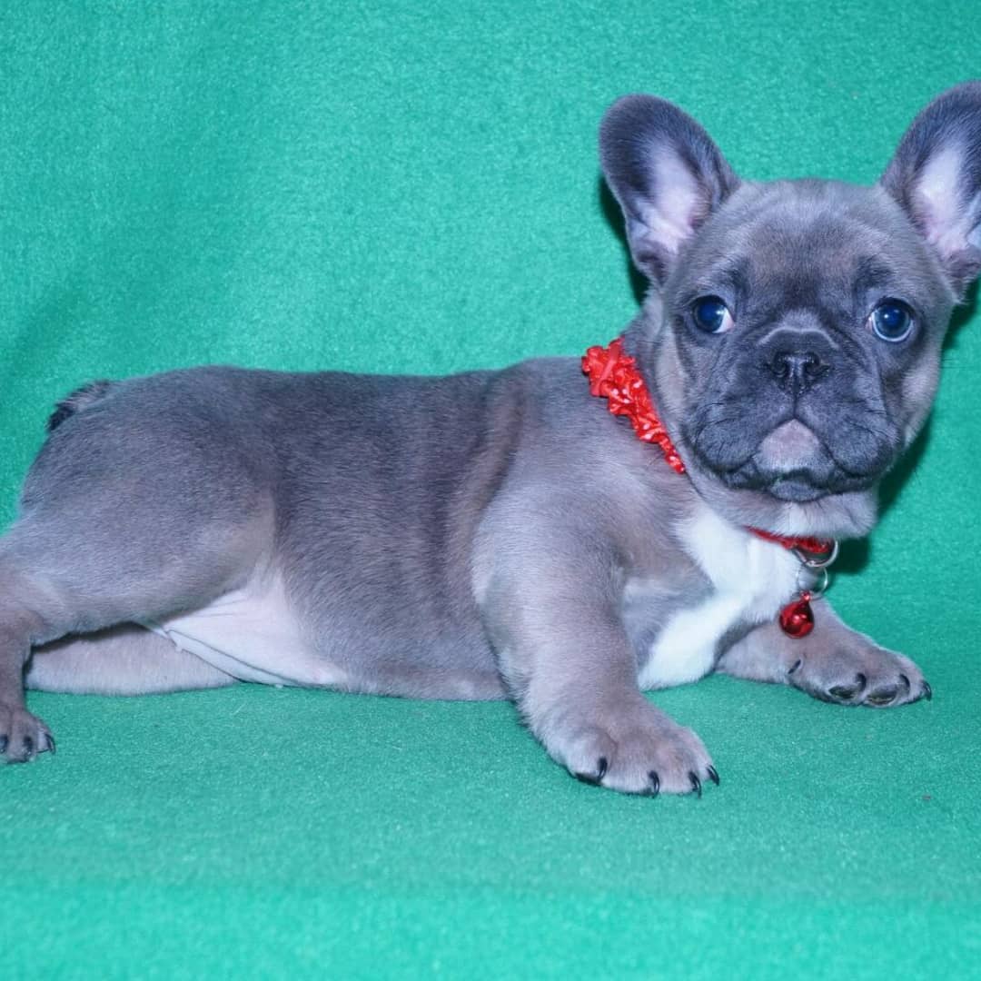 IMG_20210203_091558_927