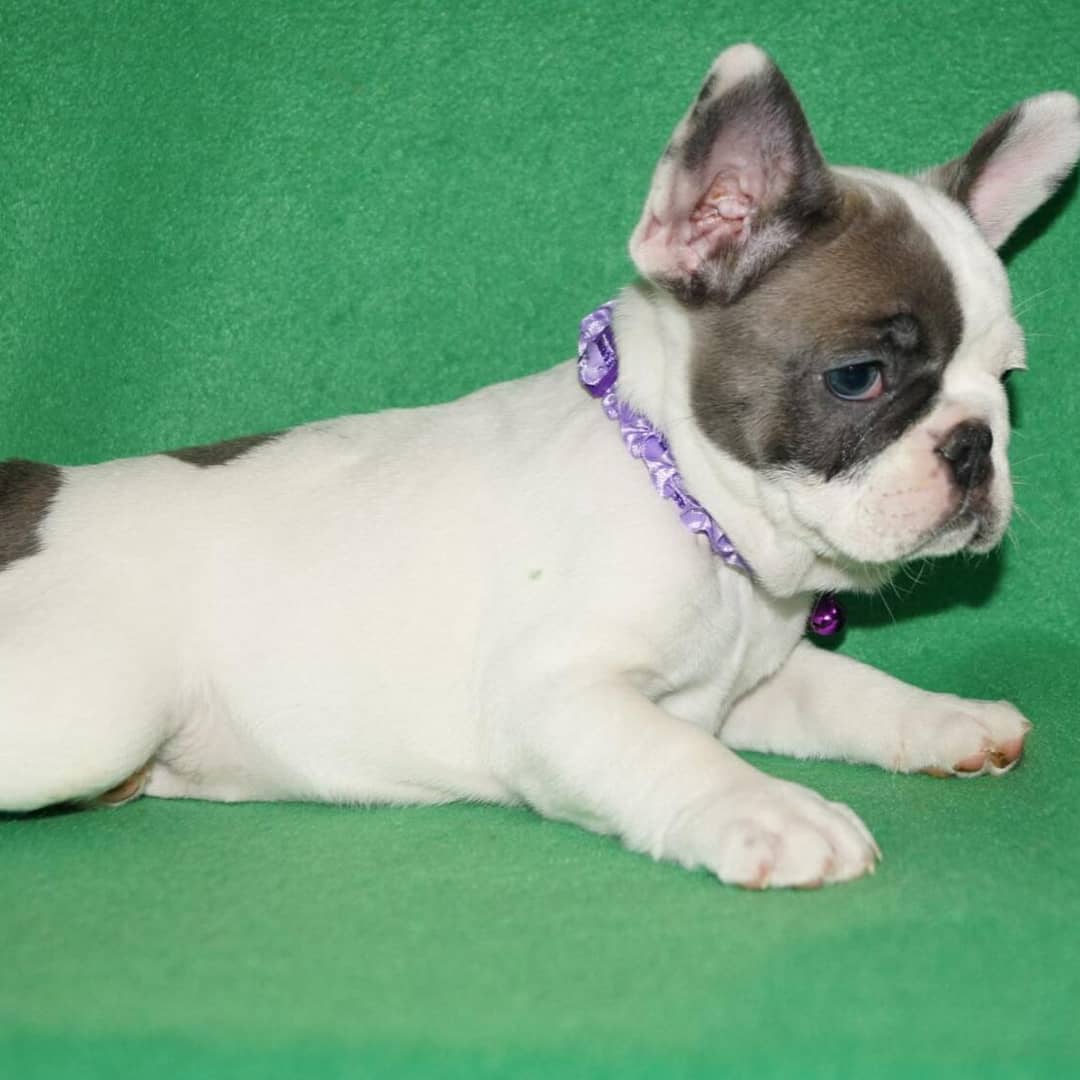 IMG_20210203_091558_932