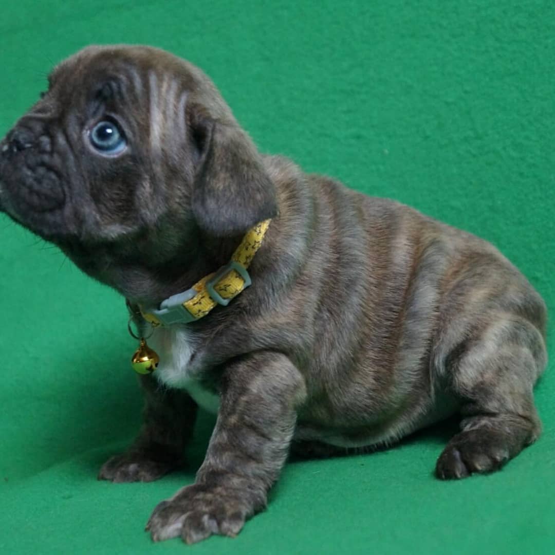 IMG_20210203_091558_935