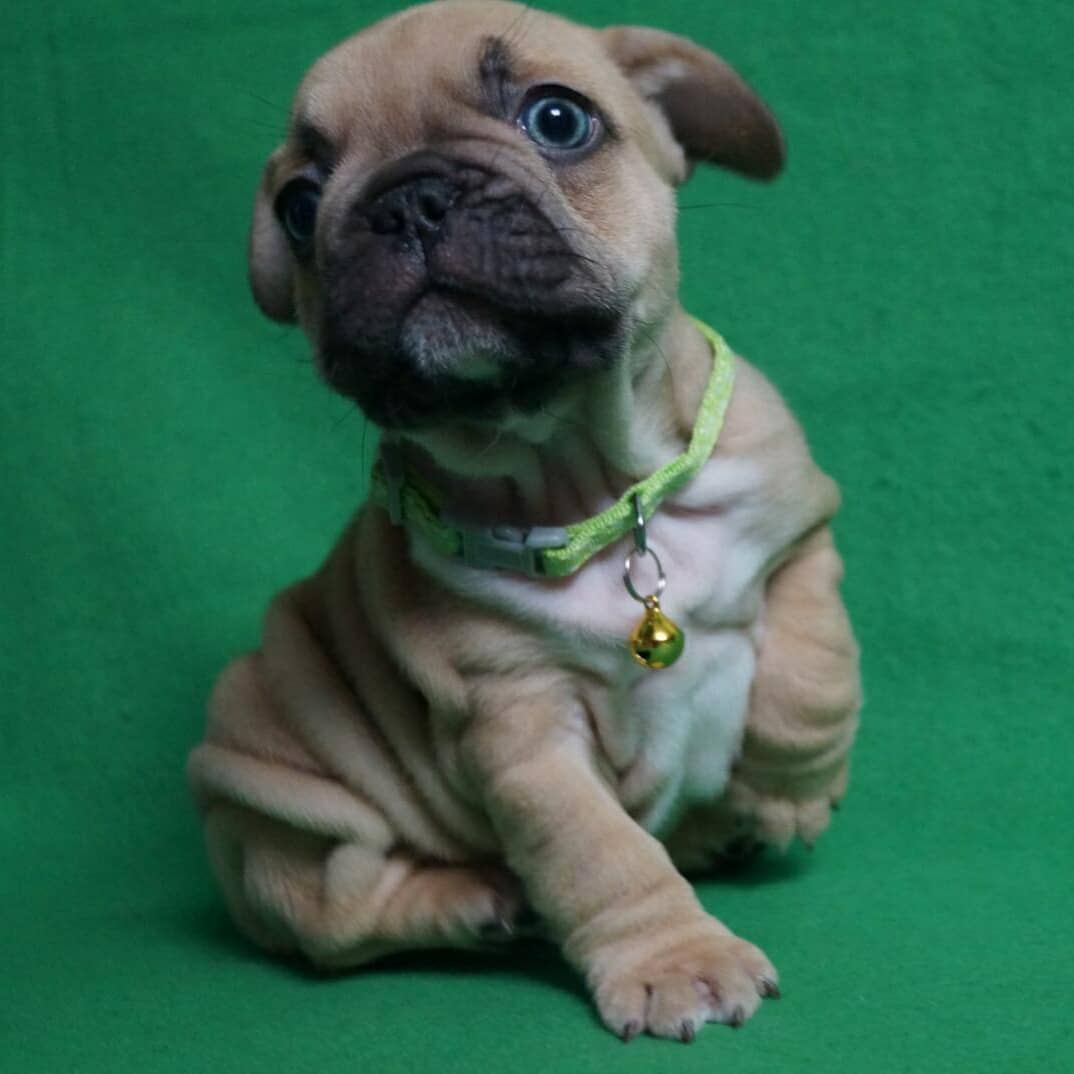 IMG_20210203_091558_938