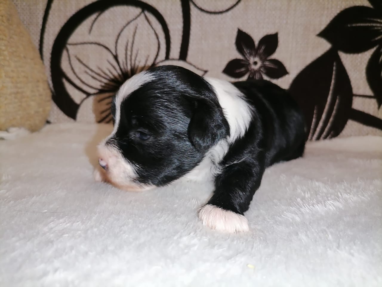 WhatsApp-Image-2021-02-27-at-14.48.53