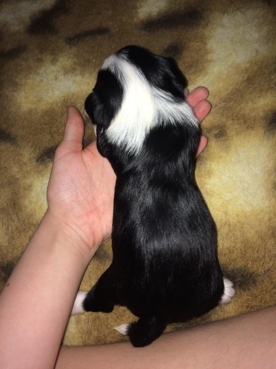 WhatsApp-Image-2021-02-27-at-14.50.46-2