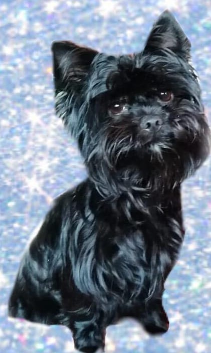 WhatsApp-Image-2021-02-27-at-15.20.50