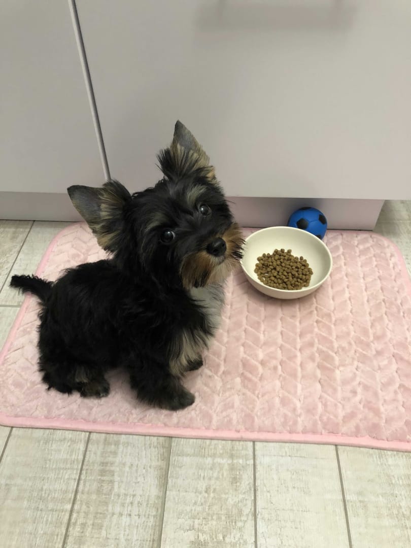 WhatsApp-Image-2021-02-27-at-18.22.06