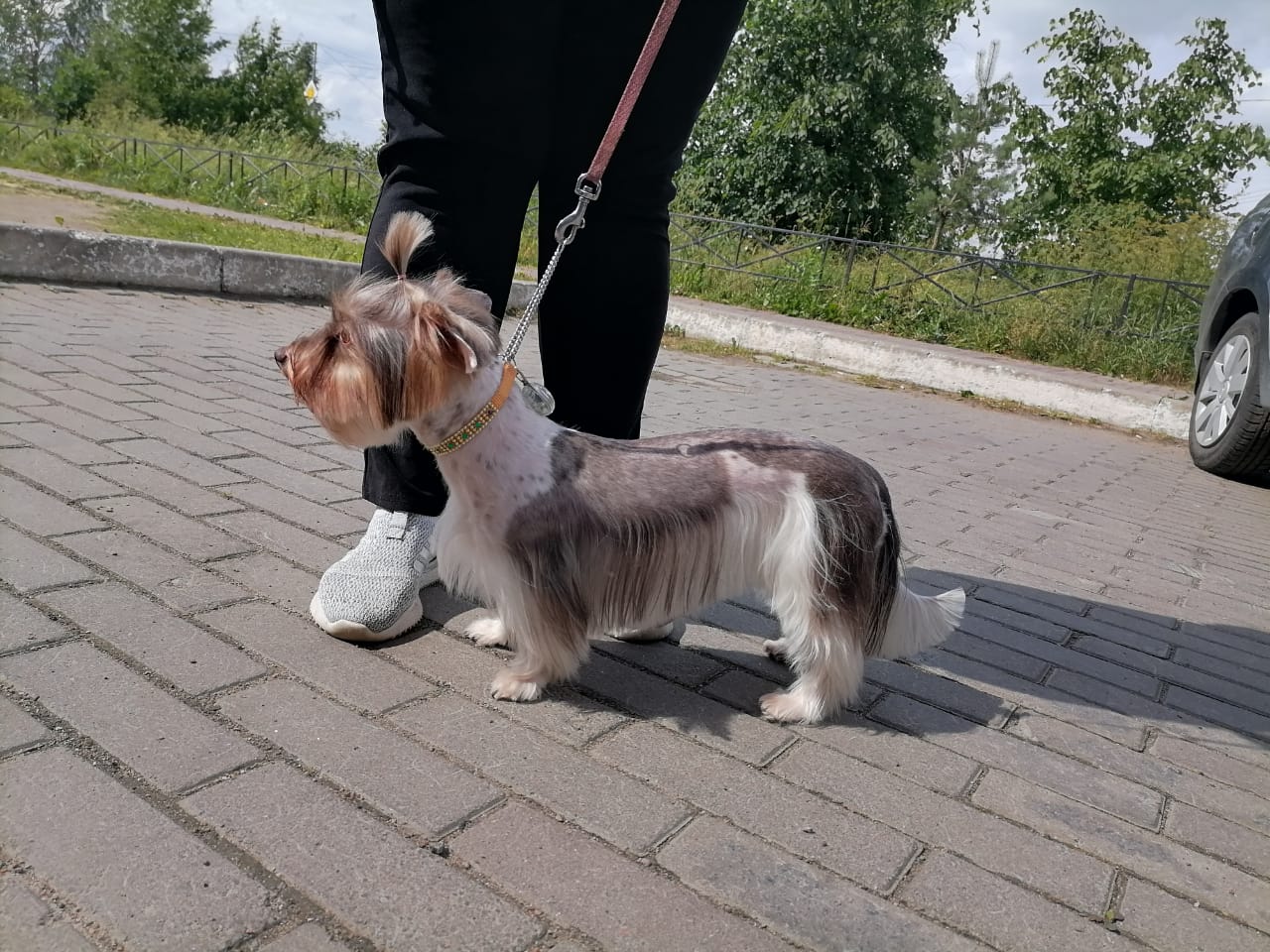 WhatsApp-Image-2021-02-27-at-18.26.16