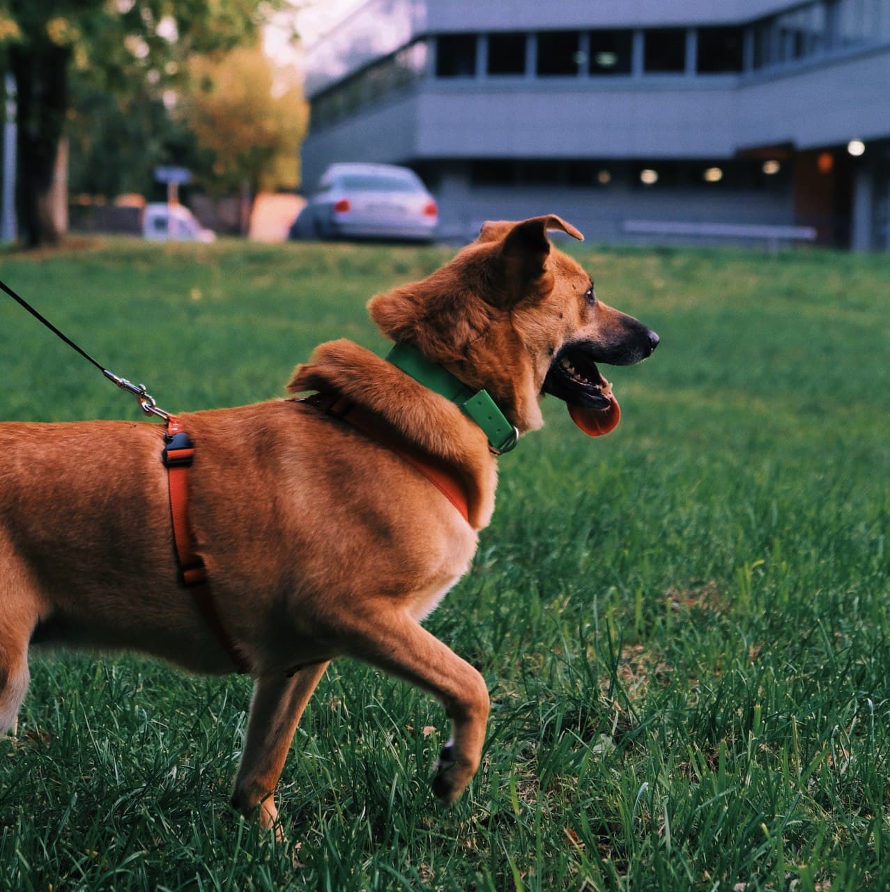 photo_2020-09-24_13-21-33-2