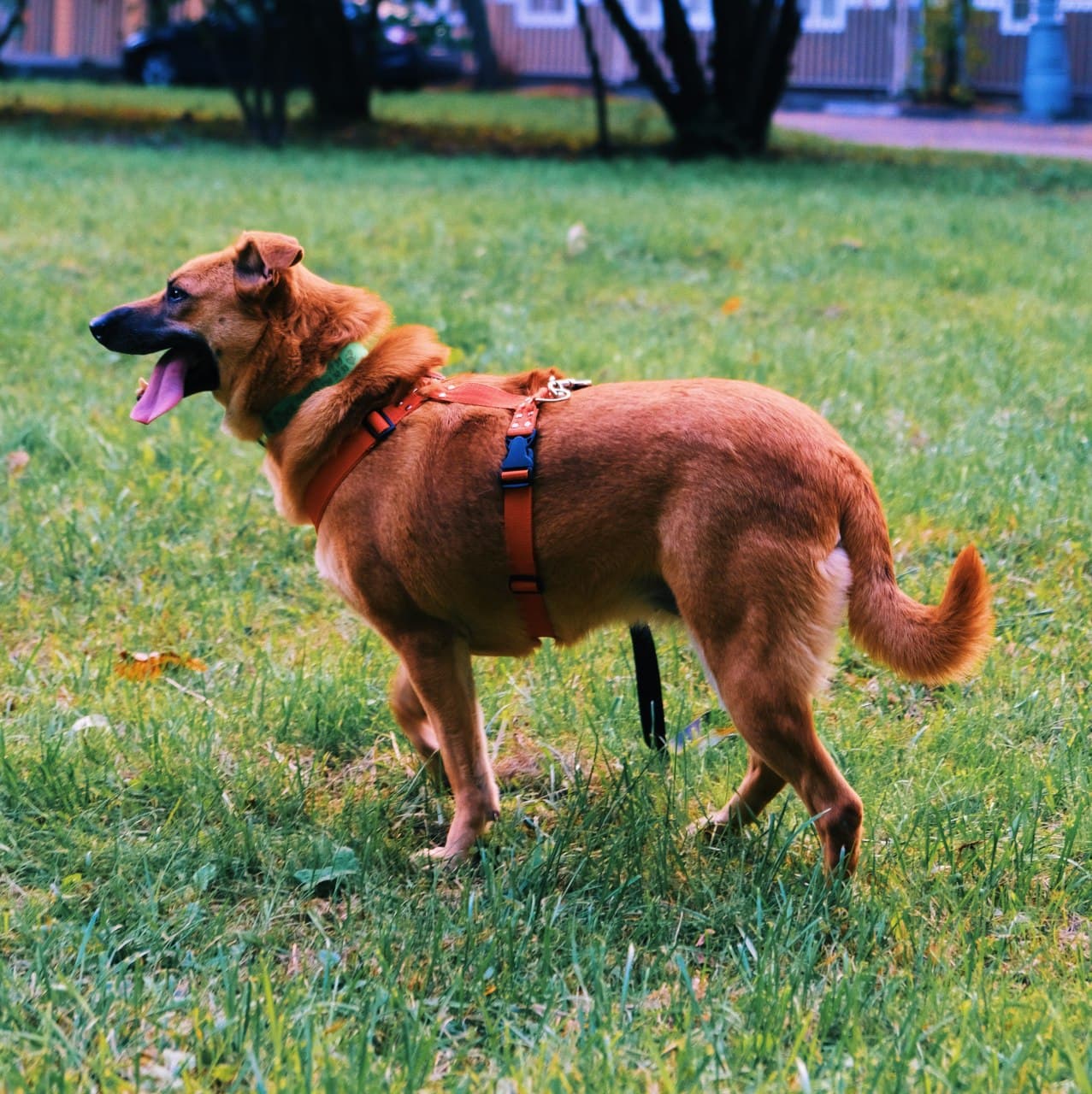 photo_2020-09-24_13-21-33