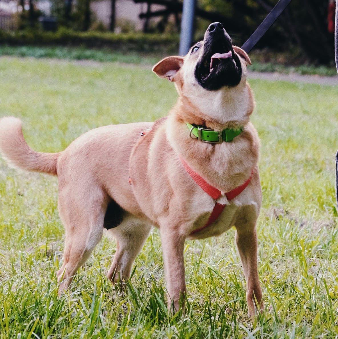 photo_2020-10-13_12-48-58