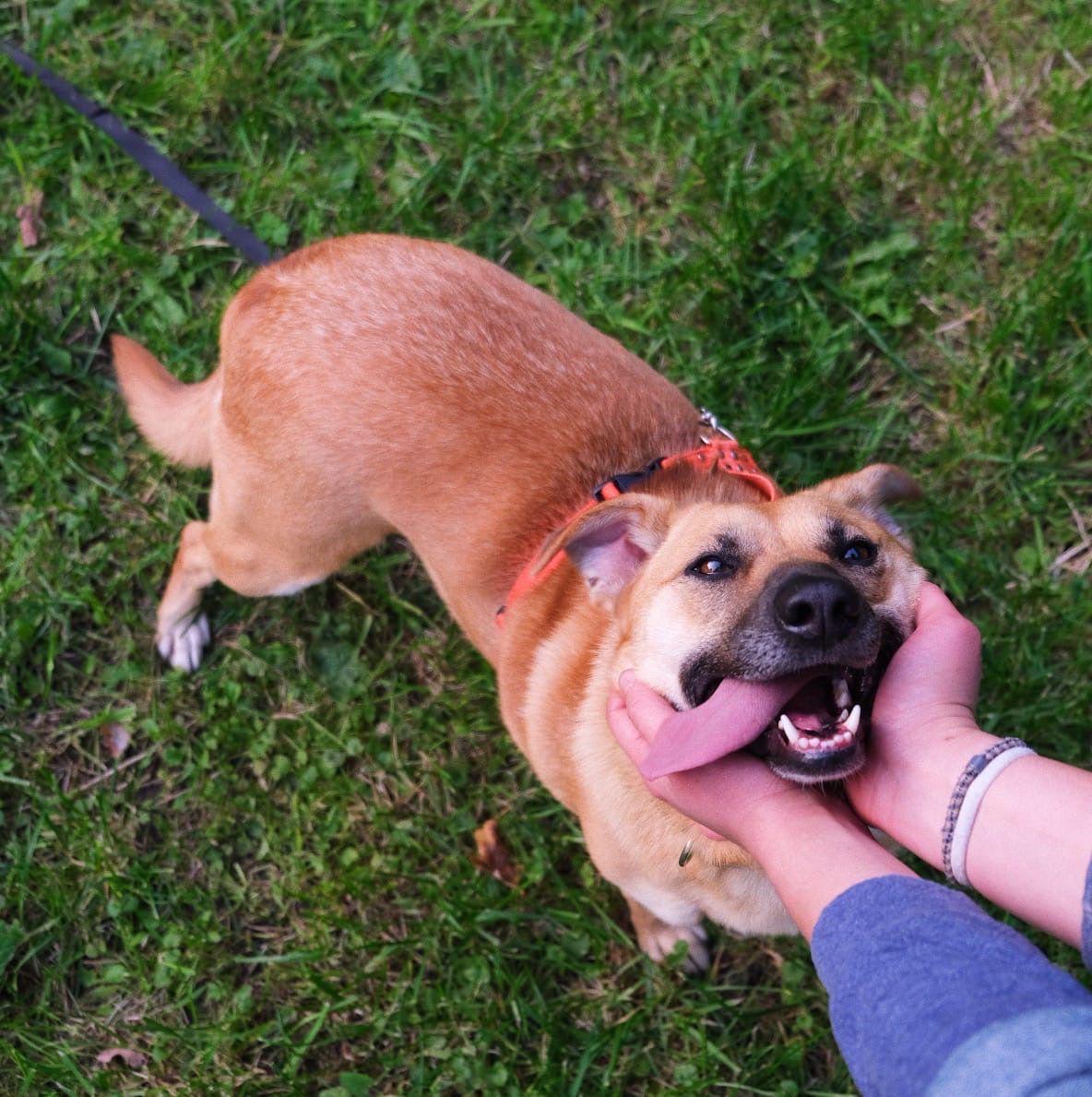 photo_2020-10-13_12-49-02