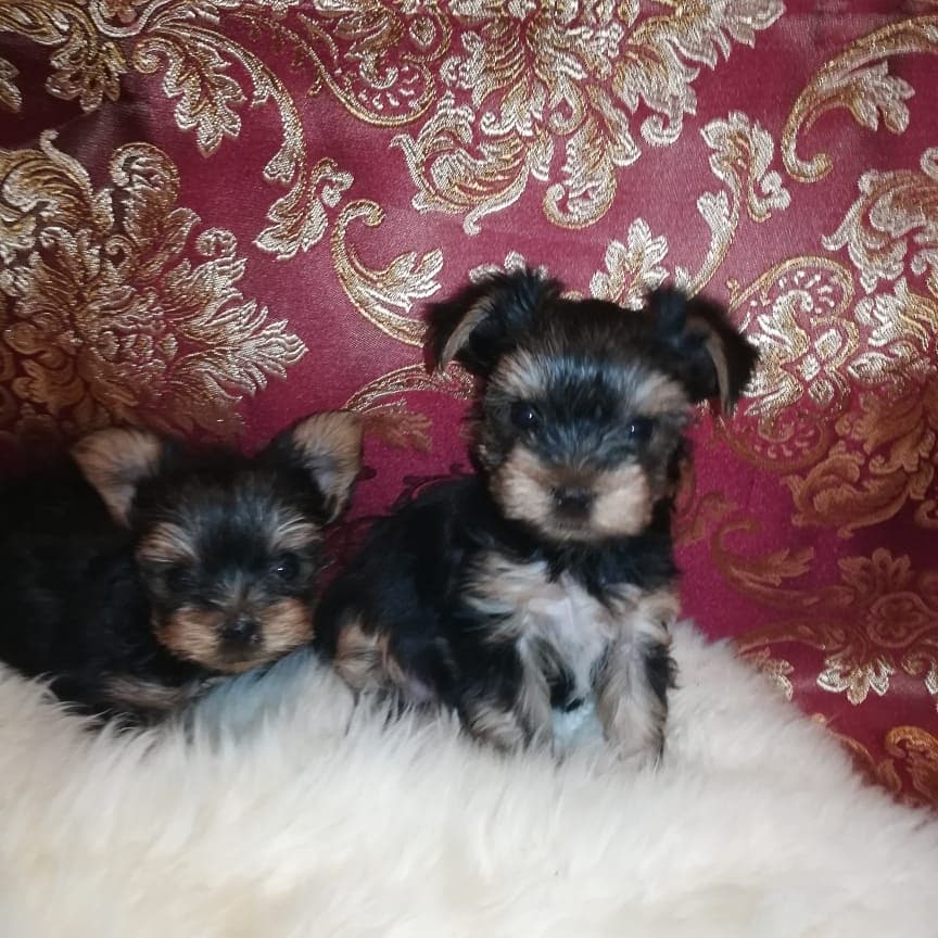 IMG_20210305_182210_598