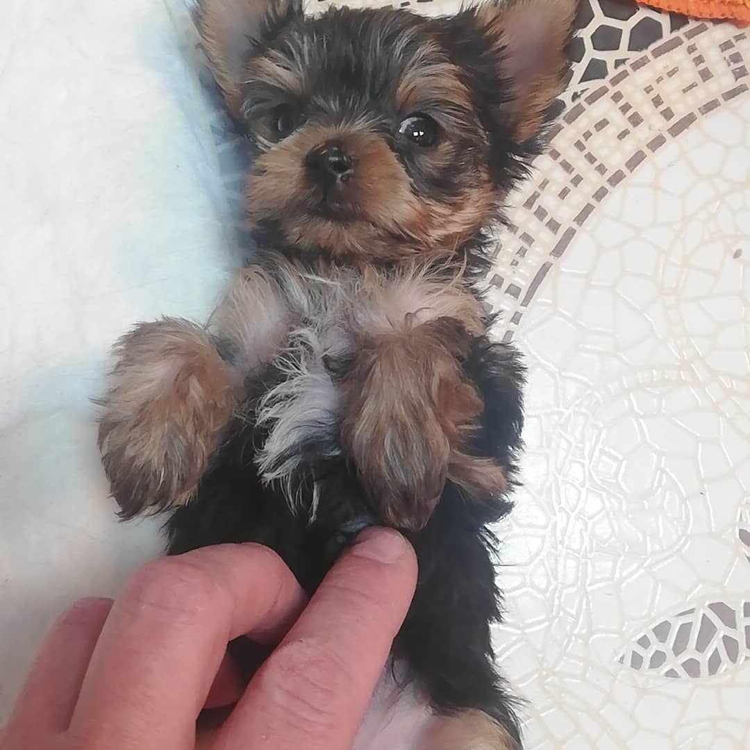 IMG_20210305_182210_599