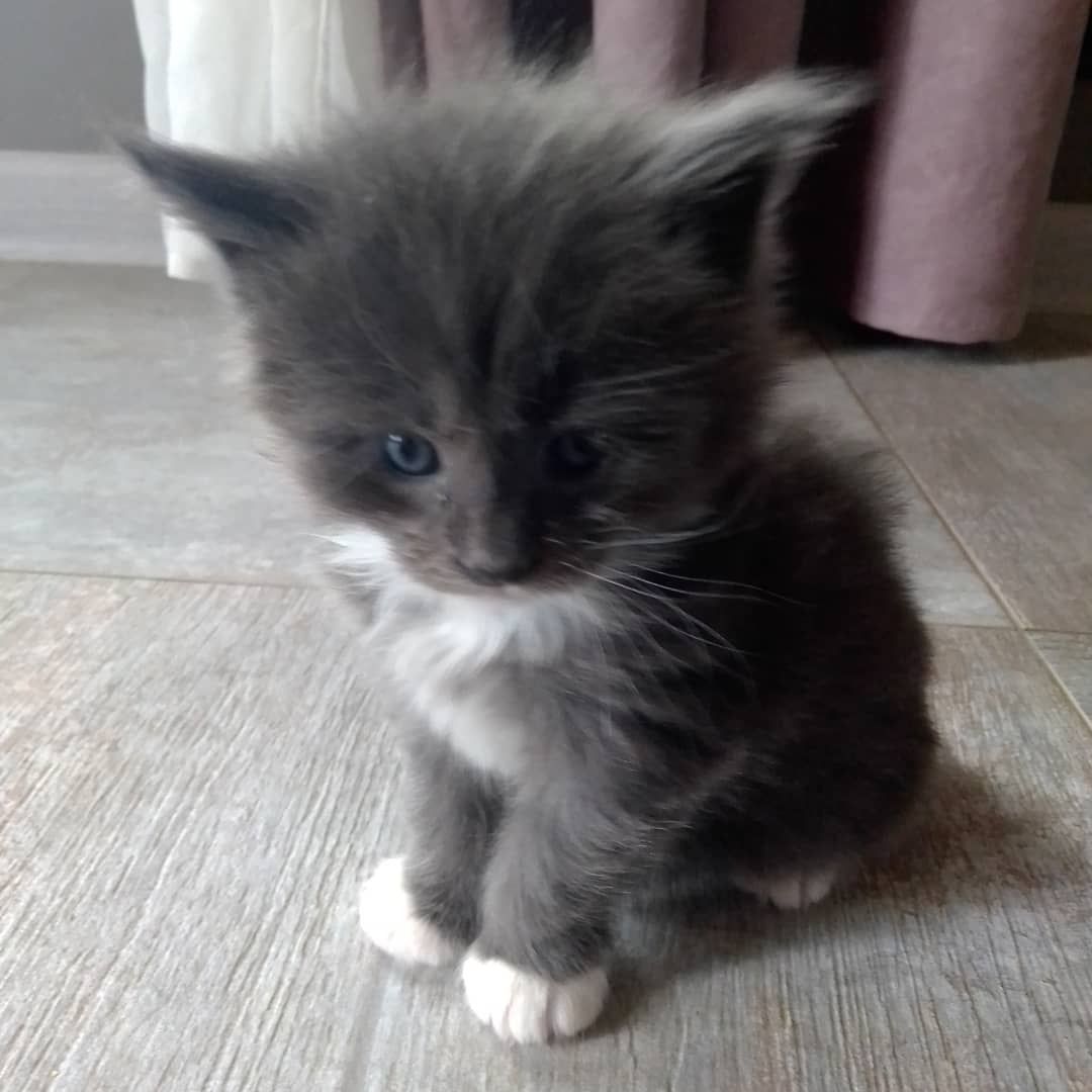 IMG_20210306_224002_400-1