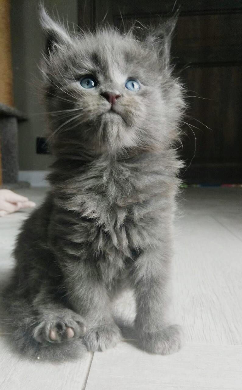 IMG_20210307_193004_925