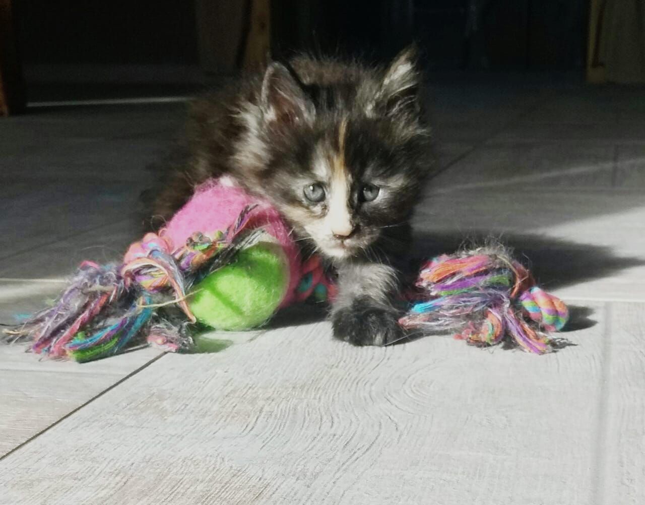 IMG_20210307_193114_092