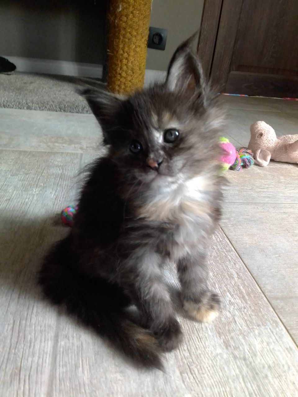 IMG_20210307_195339_264