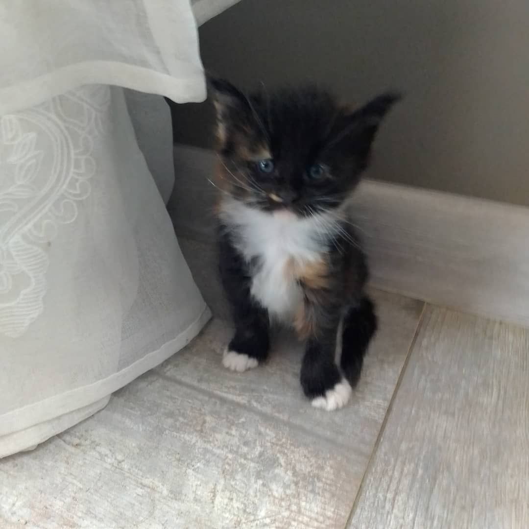 IMG_20210307_195602_008