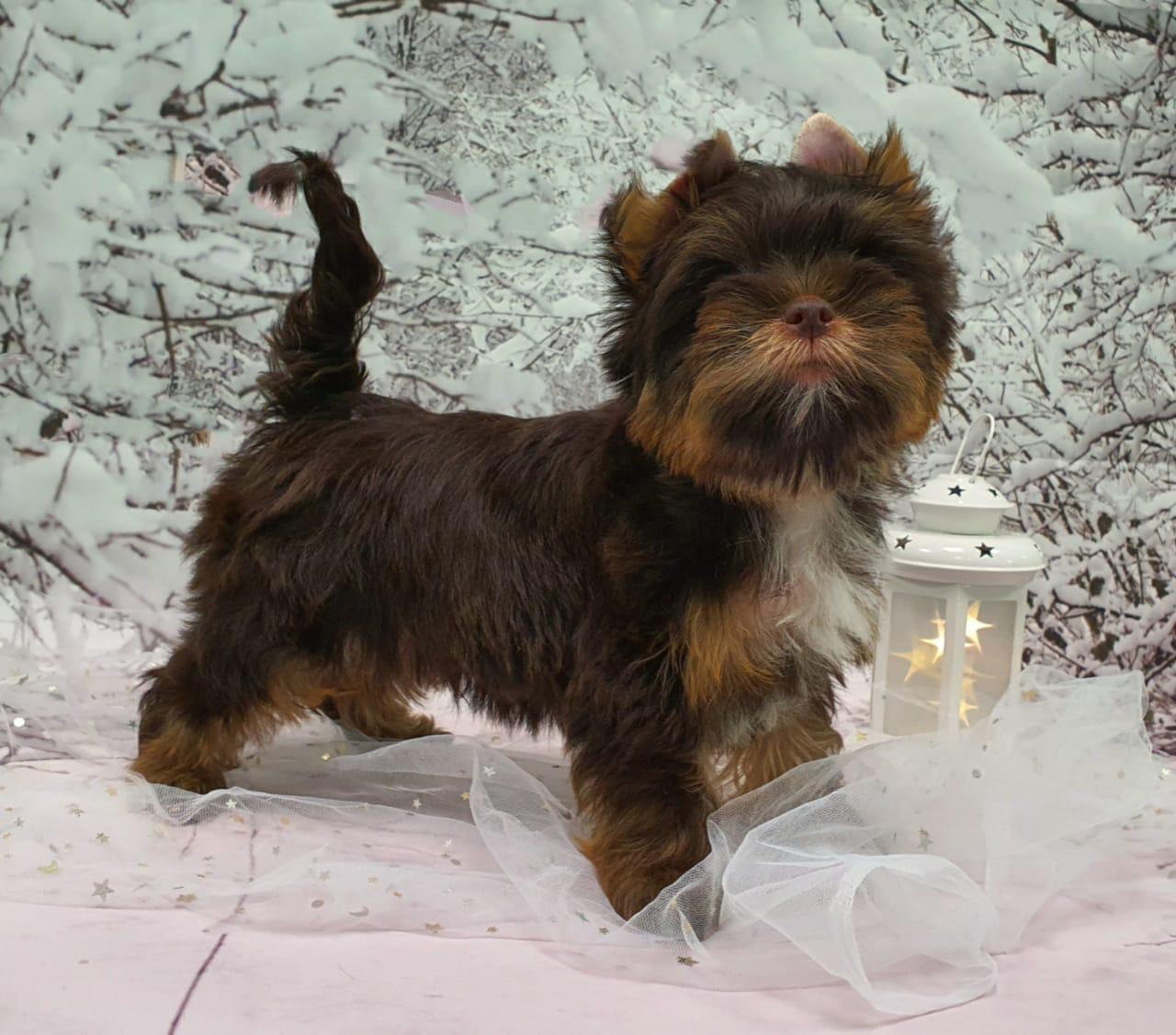 WhatsApp-Image-2021-03-05-at-10.14.25