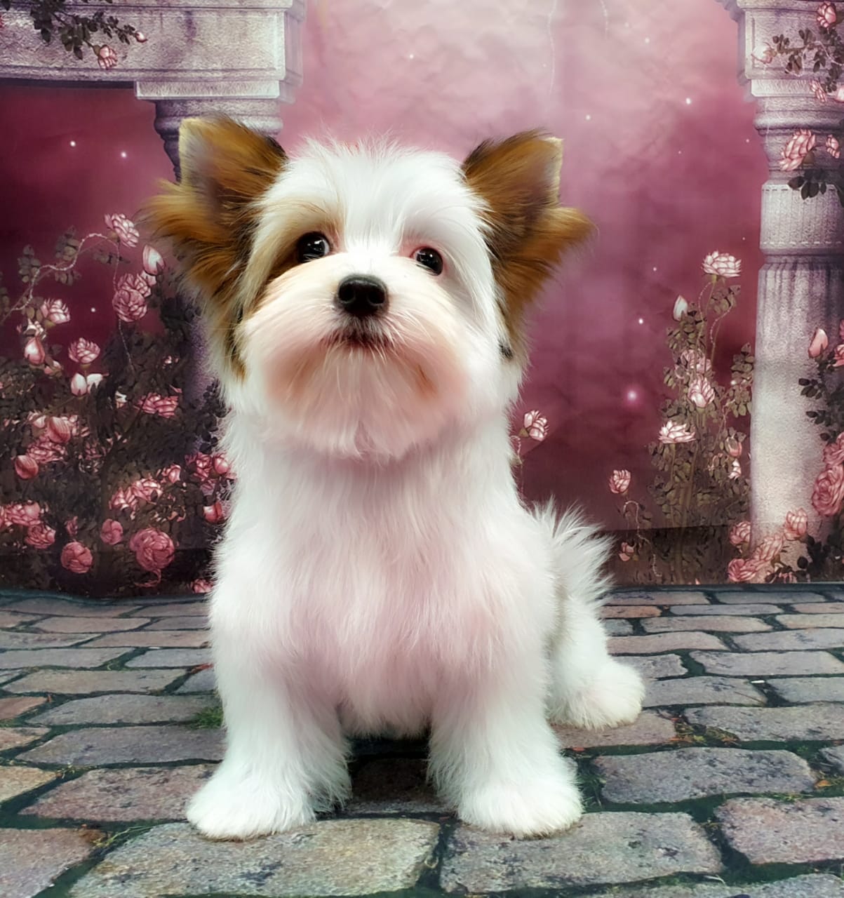 WhatsApp-Image-2021-03-06-at-20.46.53-2-1