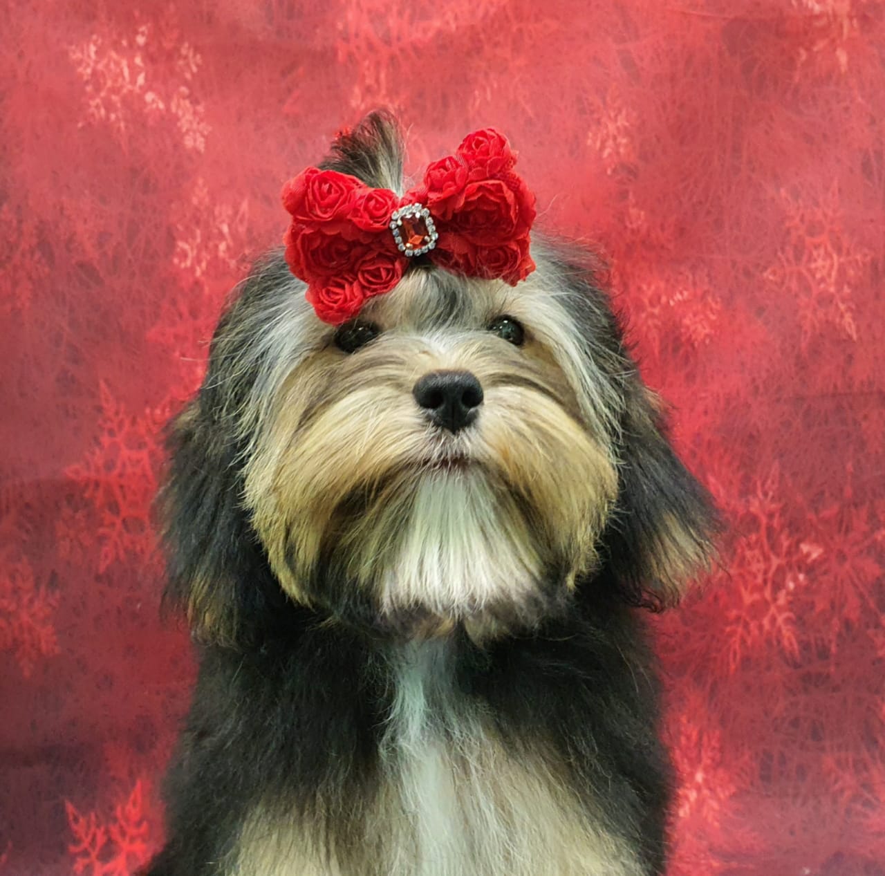 WhatsApp-Image-2021-03-06-at-20.47.33-1