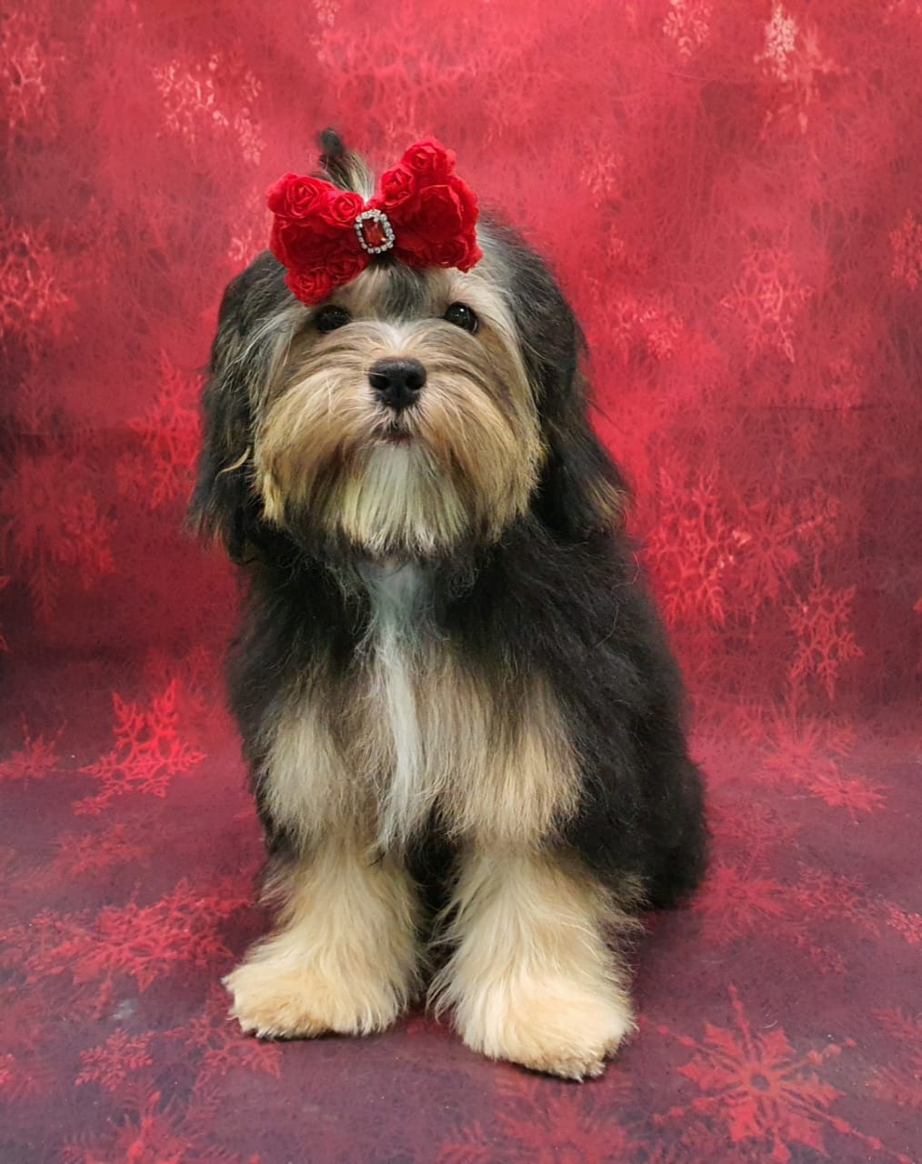 WhatsApp-Image-2021-03-06-at-20.47.35