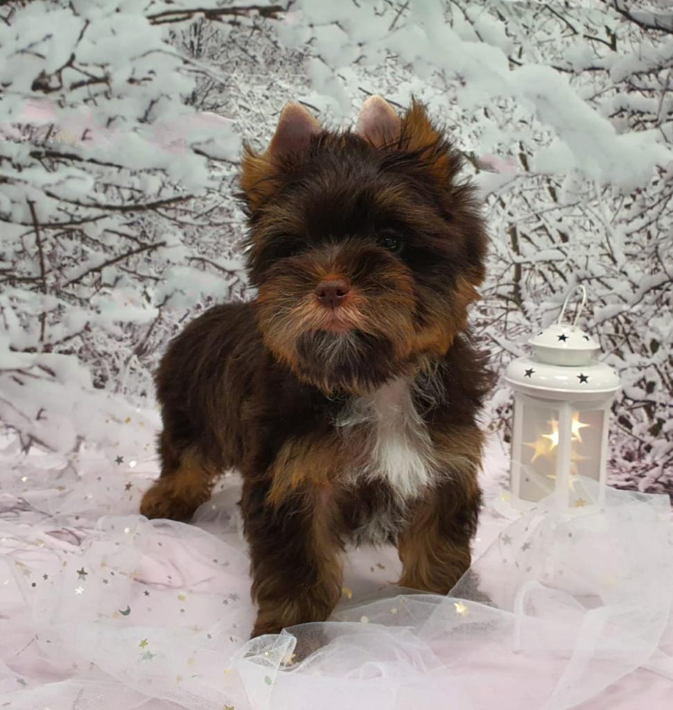 WhatsApp-Image-2021-03-11-at-18.22.45