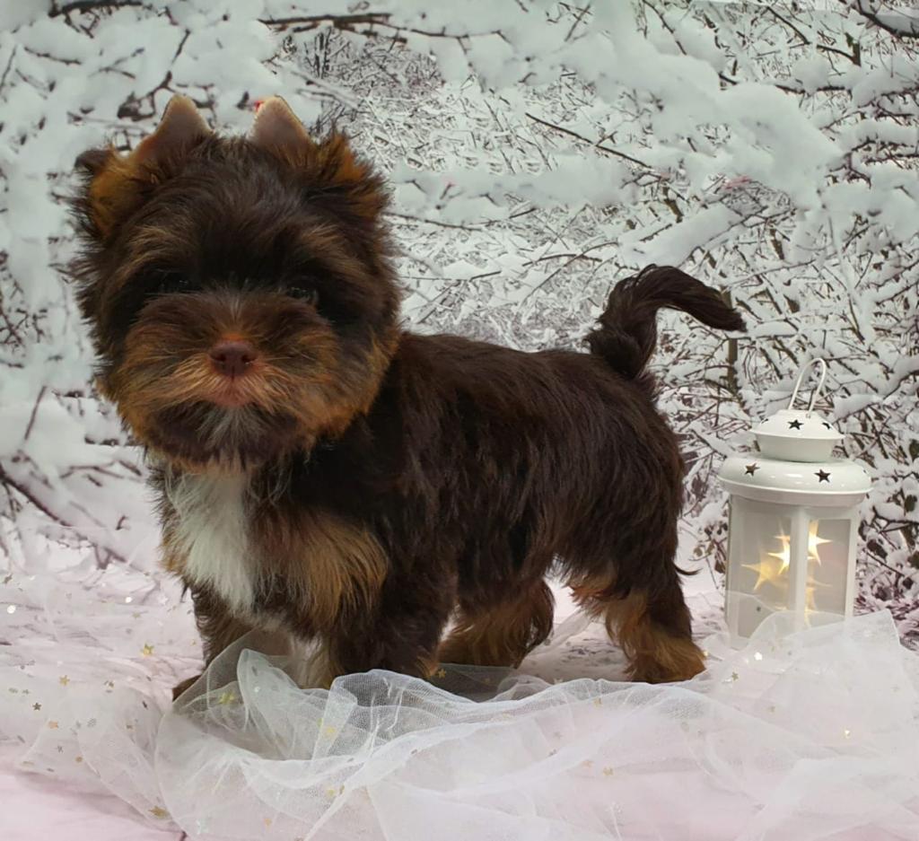 WhatsApp-Image-2021-03-11-at-18.22.46-1