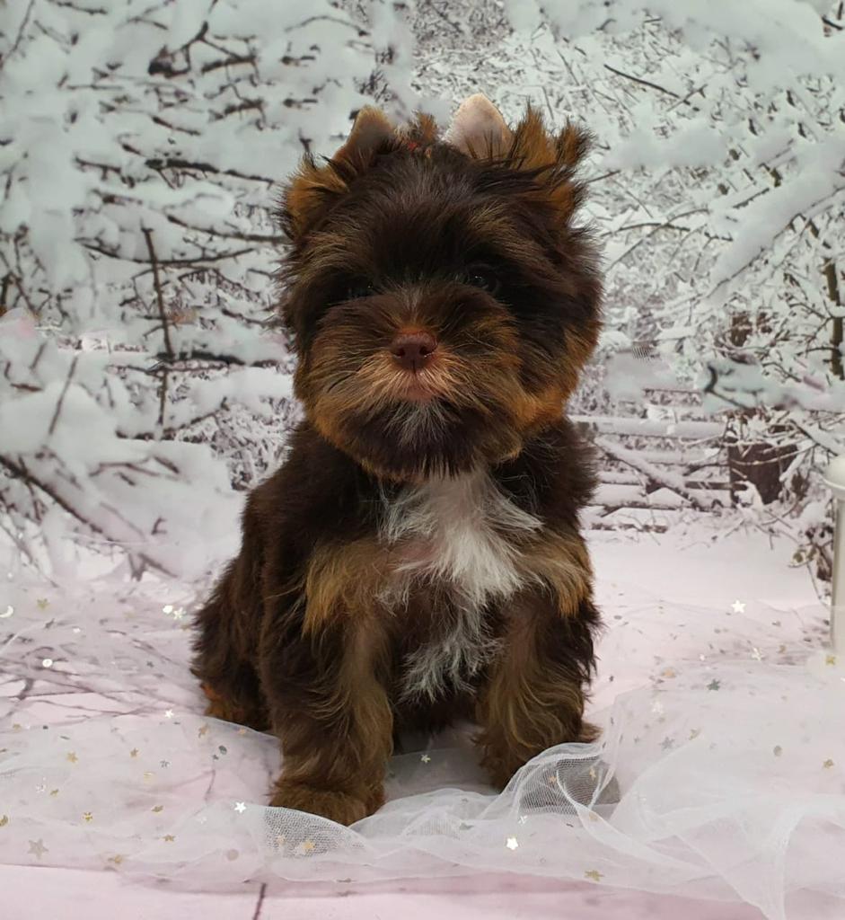 WhatsApp-Image-2021-03-11-at-18.22.46-2