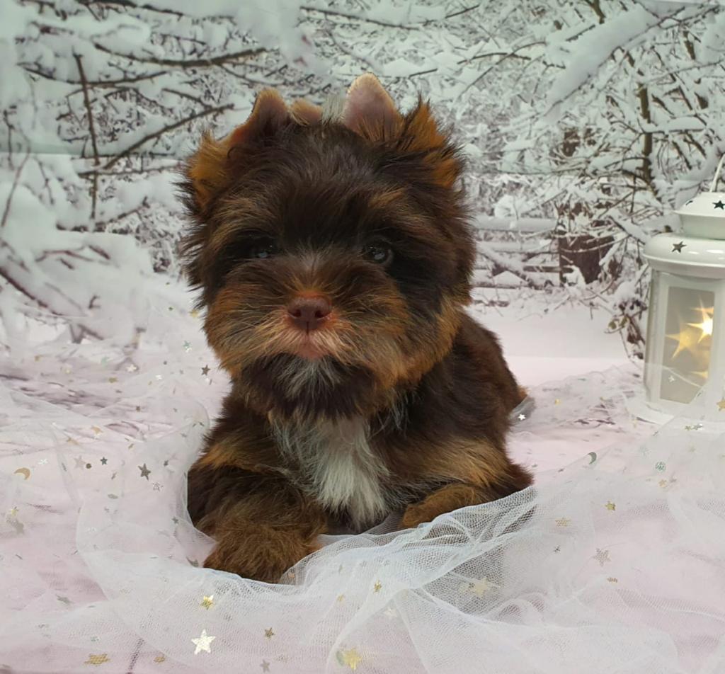 WhatsApp-Image-2021-03-11-at-18.22.46