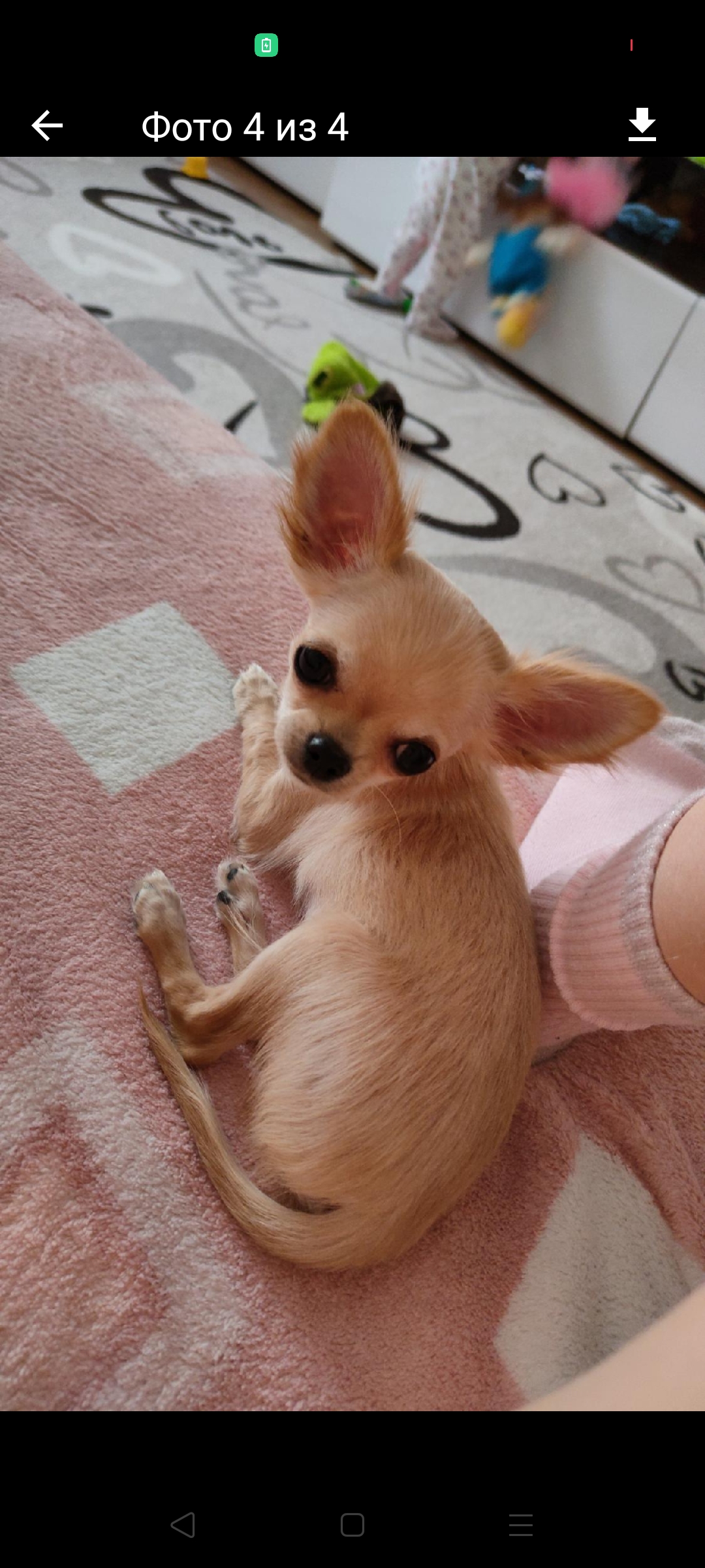 Screenshot_2021-04-18-06-42-15-01_c9700f41a9e69c707576f8b98321279a