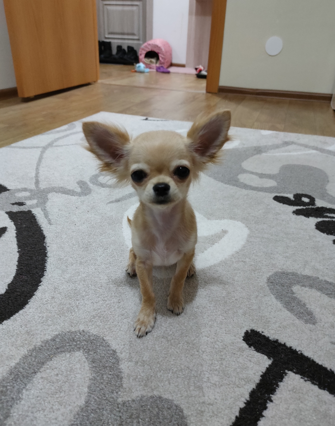 Screenshot_2021-04-18-06-44-20-68