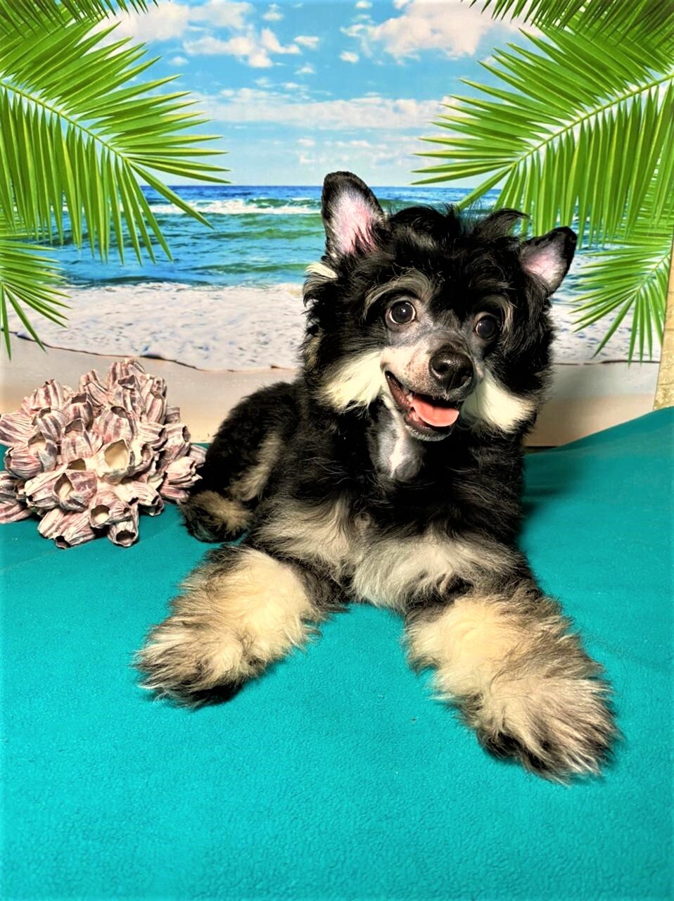 WhatsApp-Image-2021-04-04-at-13.10.54