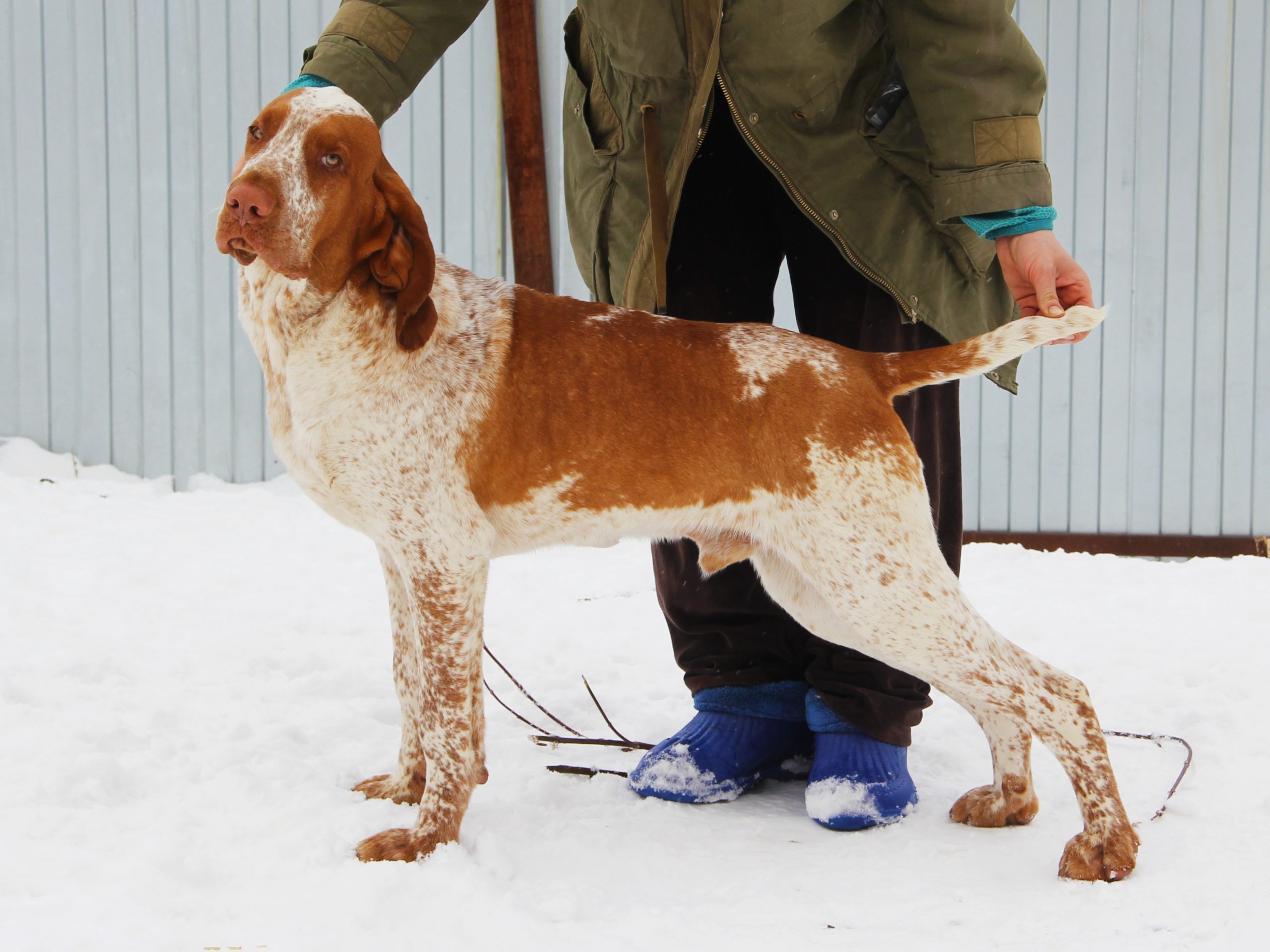 inbound2959917047469257808