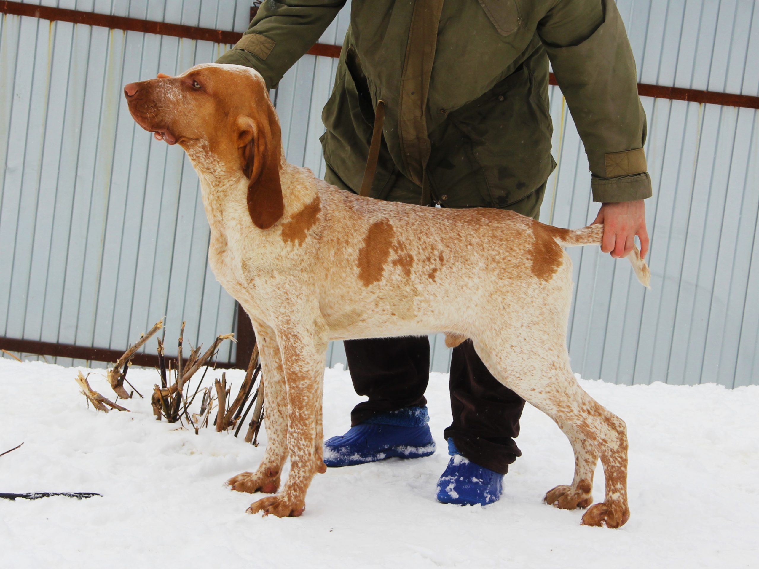 inbound5377409484275529593