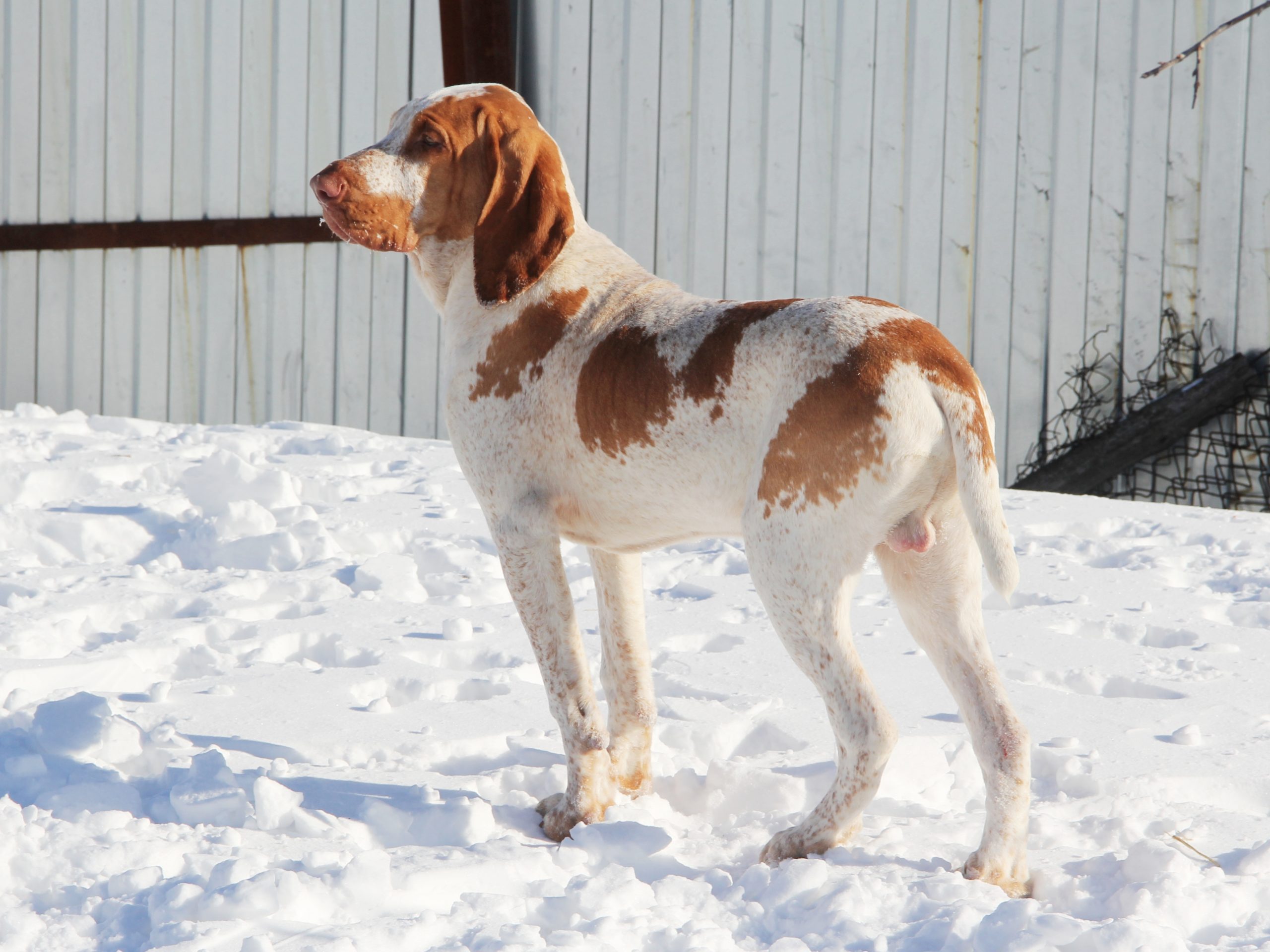 inbound5812727097921674094