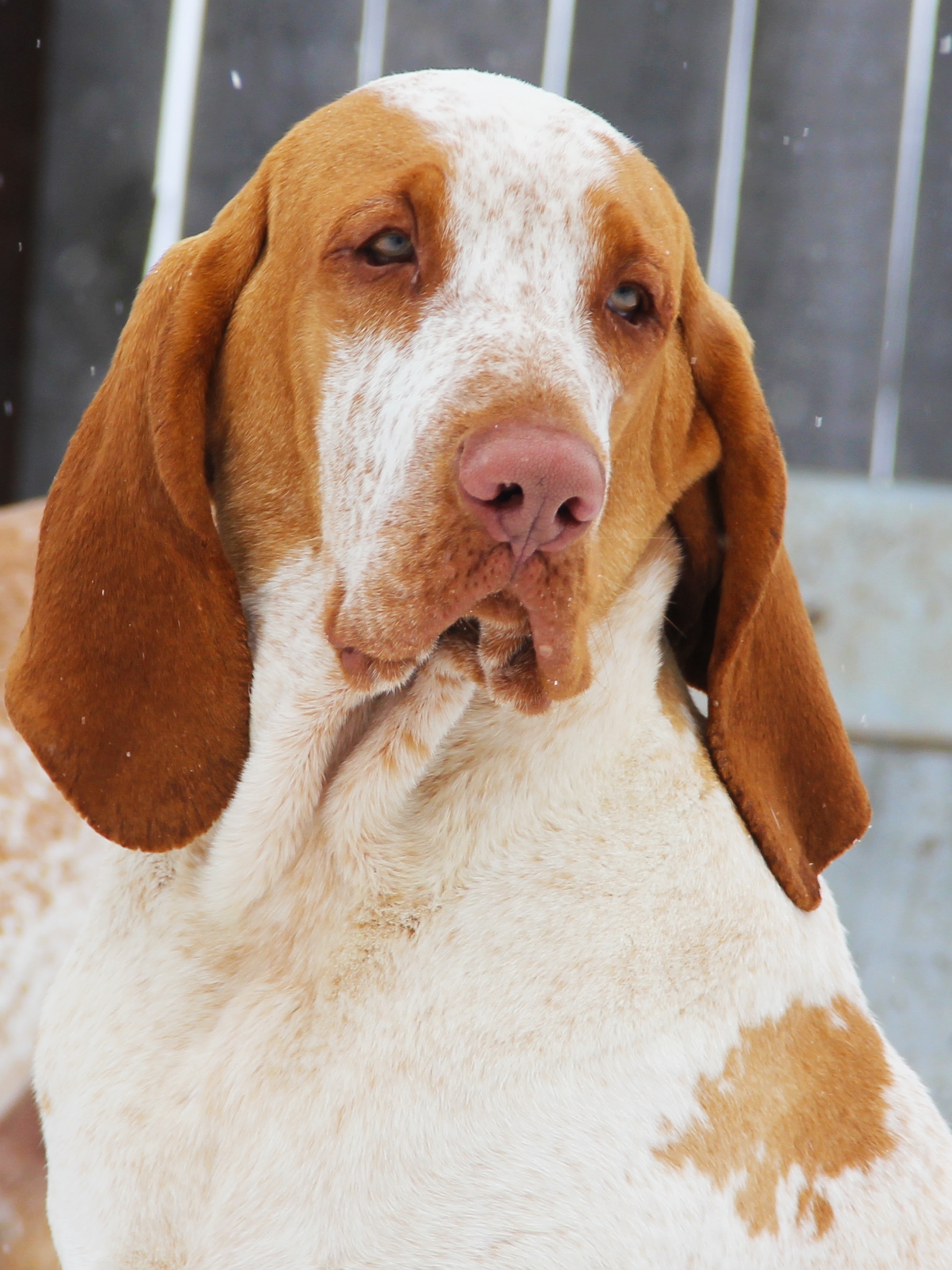 inbound5956166698821864752