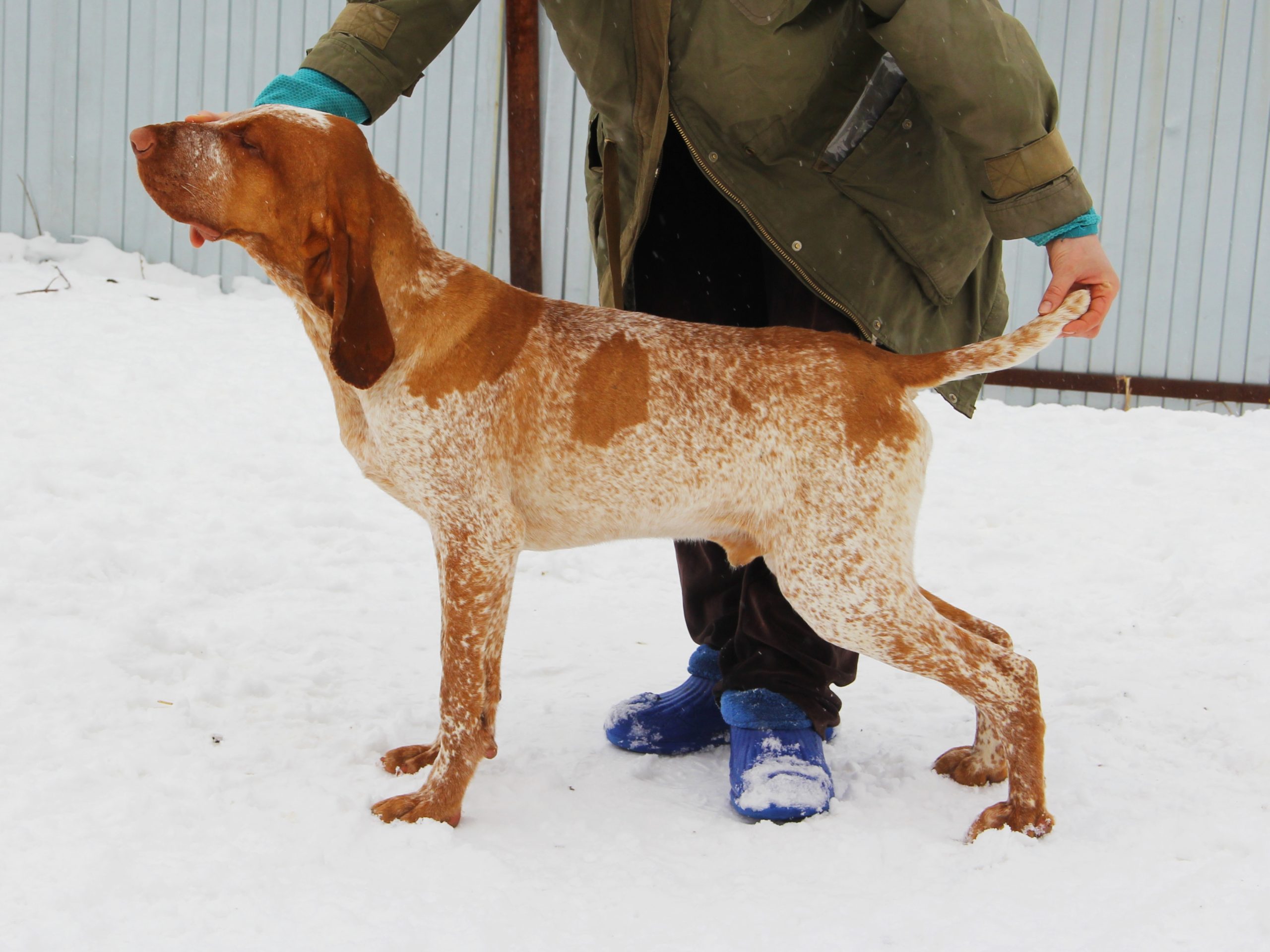 inbound6572829159566306818