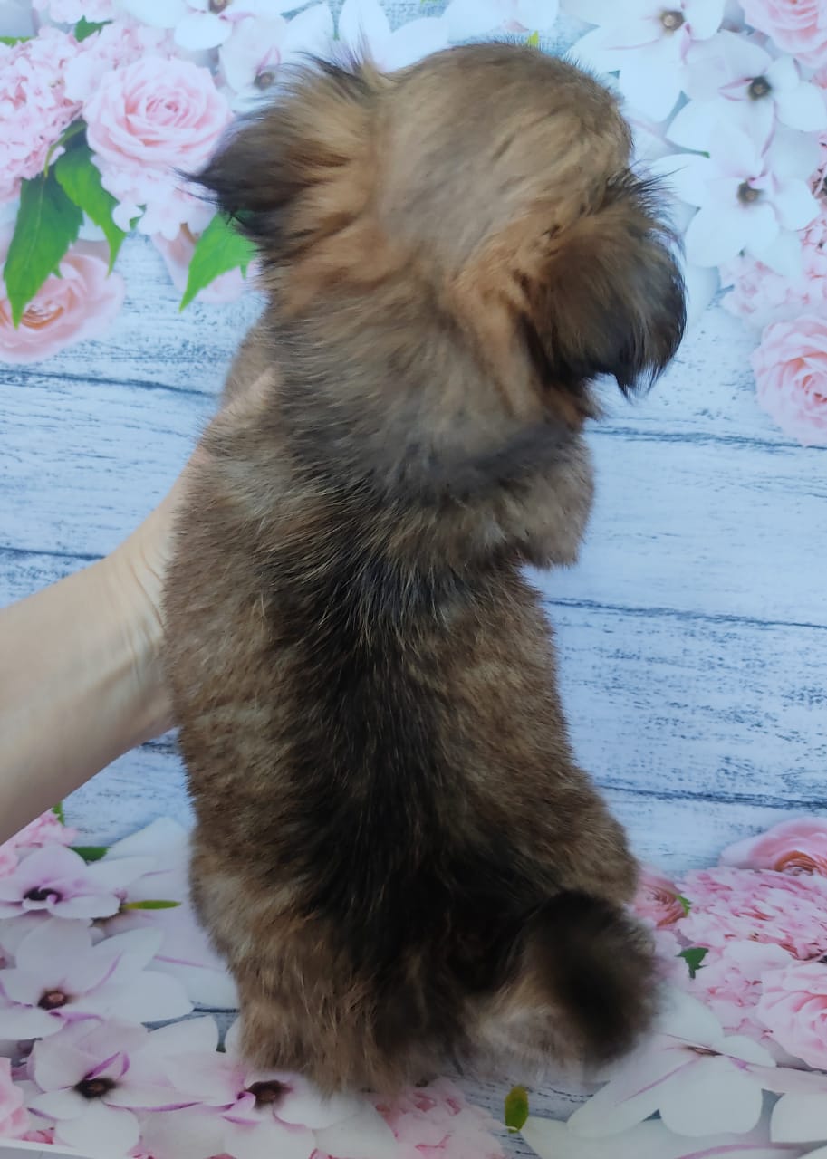 003fdf99-db4a-4b43-b495-0a3a345ac985